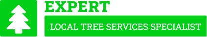 Sutherland Shire Tree Removal - Tree Removal Sutherland Shire